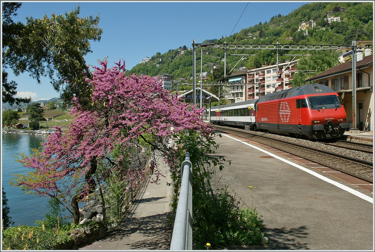 SBB Re 460 030-0 bie der Haltestelle Veytau Chillon.
14. Mai 2013  