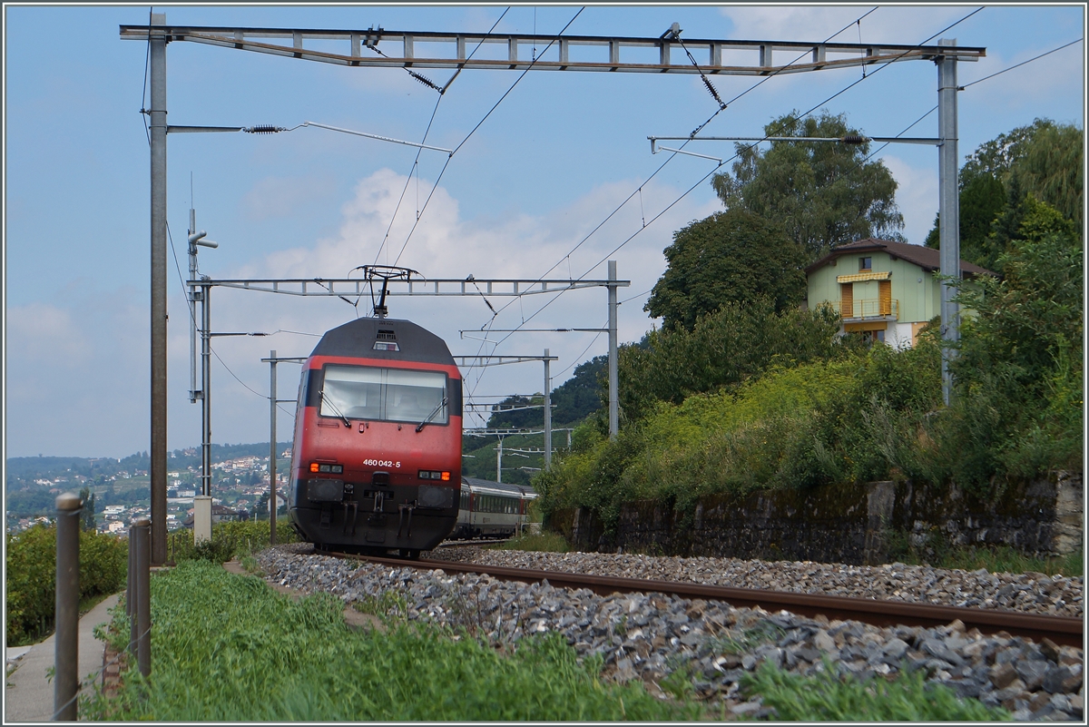 SBB Re 460 042-5 mit einem IR kurz nach Grandvaux.
31.07.2014