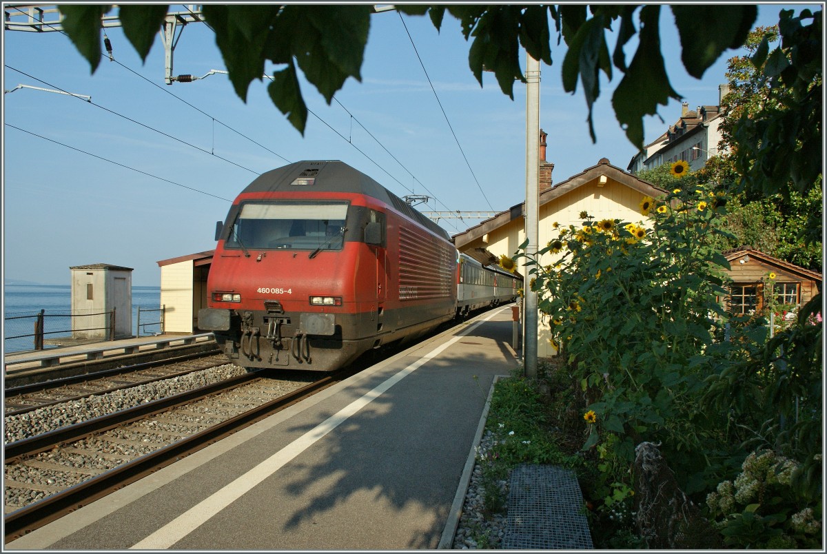 SBB Re 460 085-4 mit einem IR bei der Durchfahrt in St-Saphorin.
31. August 2013