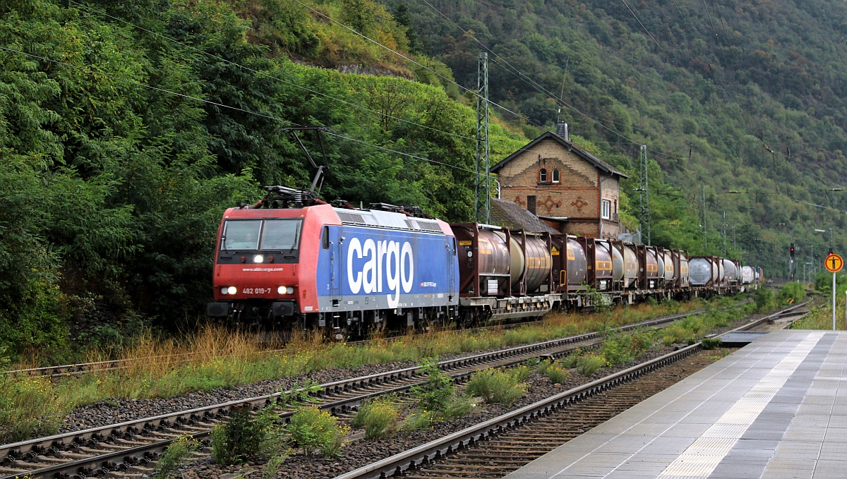 SBBC 4482 019-7 mit nem  Bertschi  gen Norden. Kaub 15.09.2021