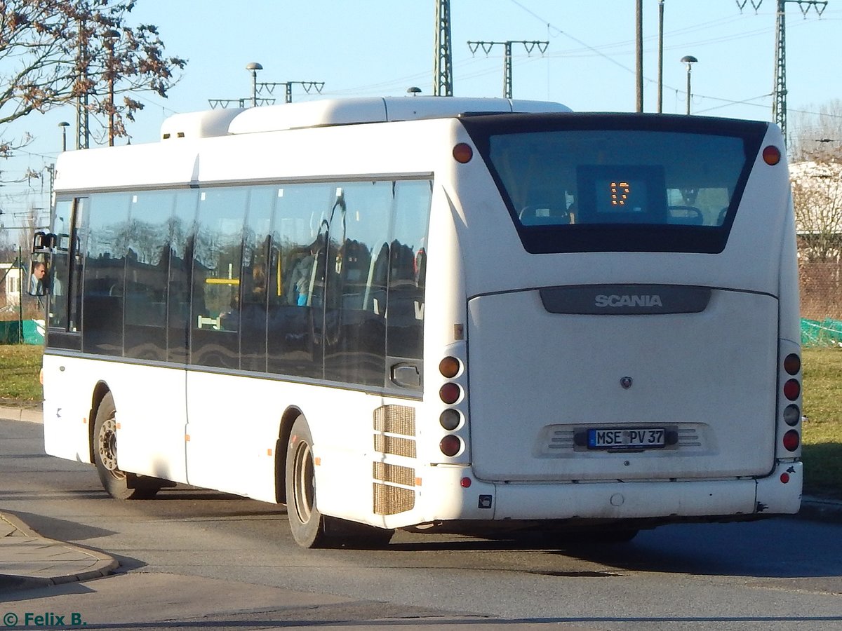 Scania OmniLink der PVM Waren in Neubrandenburg. 