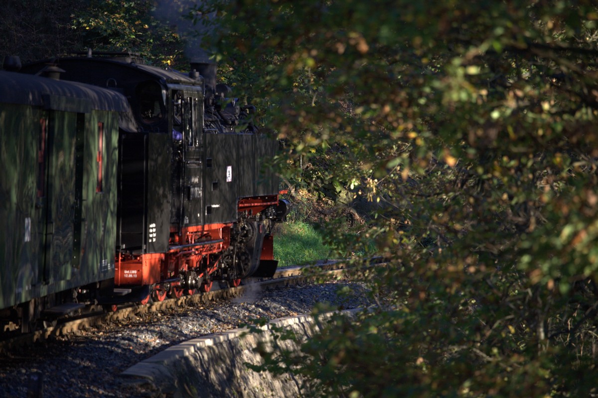 Schattenspiele auf der Strecke. 19.10.2014 17:17 Uhr.
