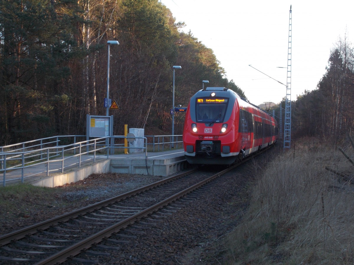 Schon auf der Hinfahrt nach Lietzow erwischte ich den 442 346,am 17.Januar 2015,in Prora Ost.