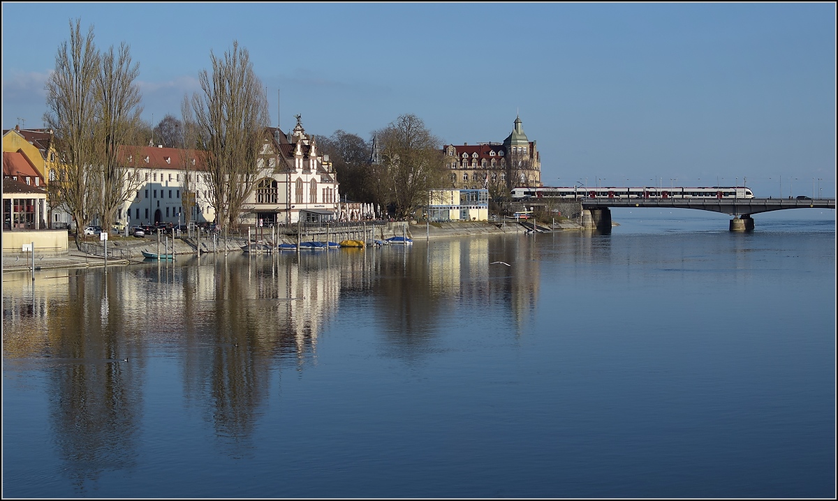 Seehas am Rhein und See. Konstanz, Februar 2017.