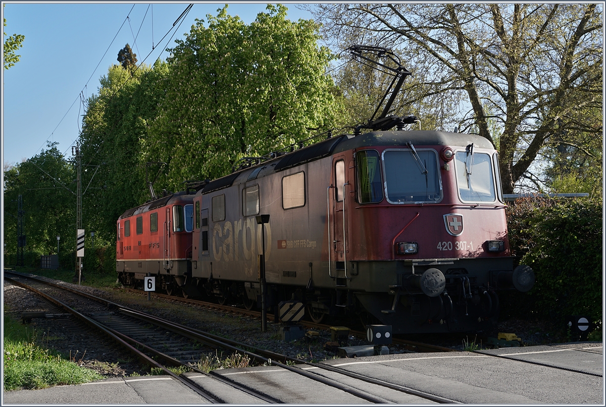 Seltene Gäste? Jedenfalls ein schwieriges Umfeld für ein Foto: SBB Re 420 307-1 und Re 430 353-3 in Konstanz.
24. April 2017 