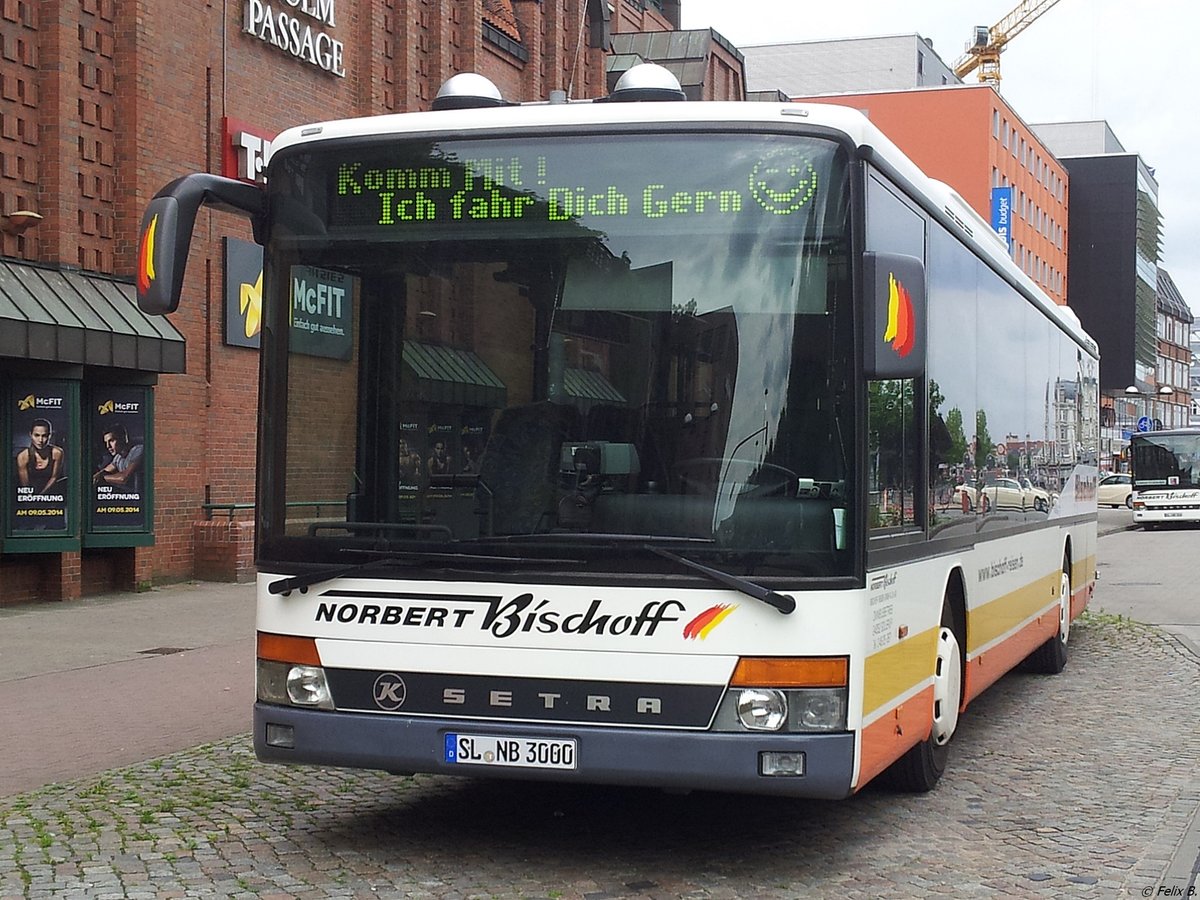 Setra 315 NF von Bischoff aus Deutschland in Flensburg.