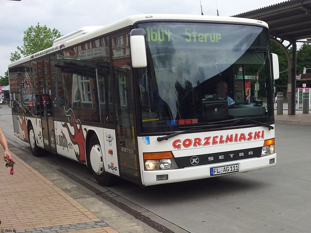 Setra 315 NF von Gorzelniaski aus Deutschland in Flensburg.