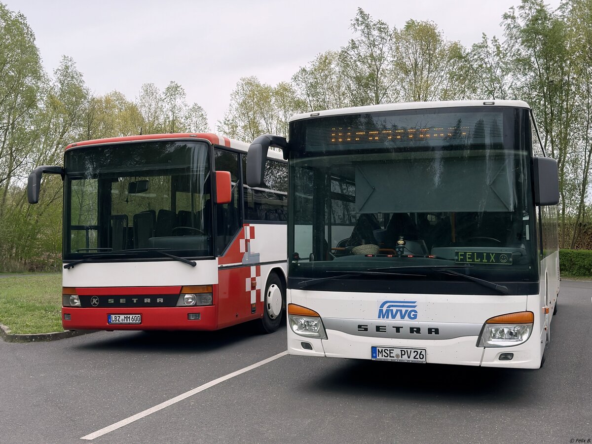 Setra 317 UL von Plauer Busbetrieb M. Maaß aus Deutschland und Setra 416 NF der MVVG in Plau am See.