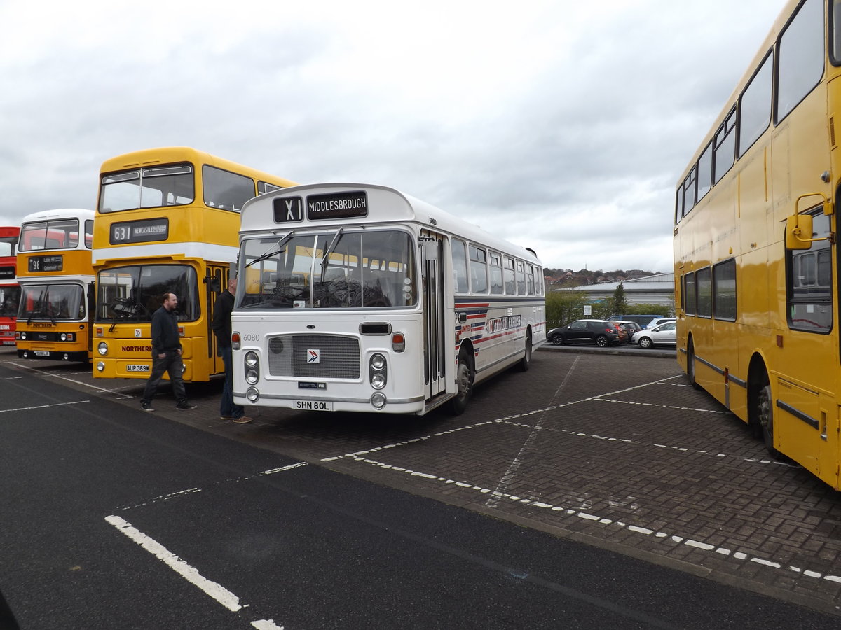 SHN 80L
1973 Bristol RELH6G
ECW DP49F
New to United Automobile Services, Darlington, County Durham, England as fleet number 6080.

Photographed at MetroCentre, Gateshead, Tyne & Wear, England on 1st May 2016 during a vintage bus & coach show.  This bus has since been repainted into the correct livery of red & white.