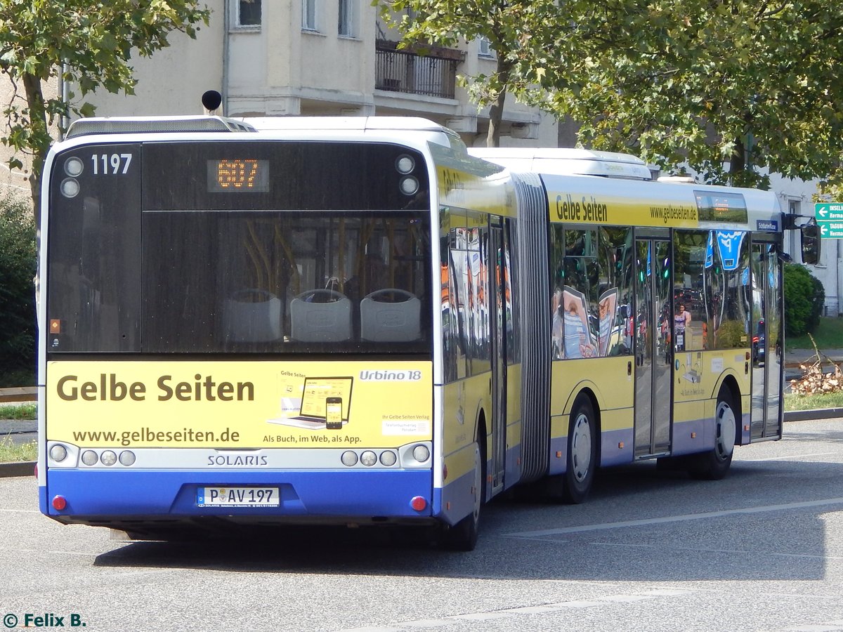 Solaris Urbino 18 von Beelitzer Verkehrs- und Servicegesellschaft mbH in Potsdam.