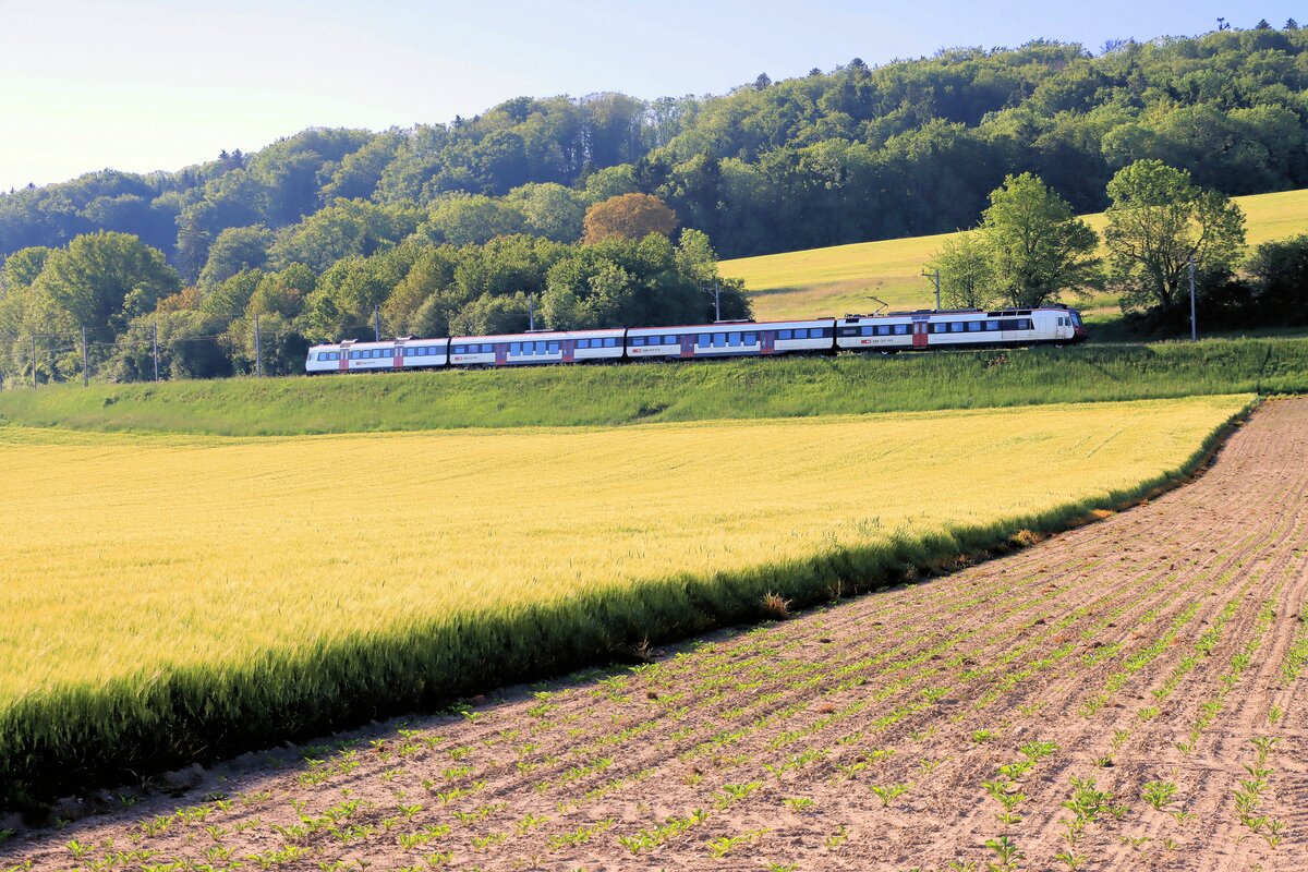 Sommer in Léchelles. Aufstieg eines NPZ Domino-Zugs der S30 (RER Fribourg) in Richtung Fribourg. Der Zug ist zusammengesetzt aus: Steuerwagen ABt 39-43 884, Domino-Wagen B 20-43 013 und 29-43 113, geschoben von Triebwagen 560 235. 1.Juni 2021  