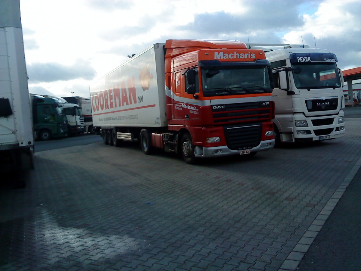 SZM DAF XF der Spedition Macharis Dendermonde in Belgien  mit Khlkofferauflieger der Firma Cooreman nv auf dem Autohof in Grnstadt am 06.12.2013