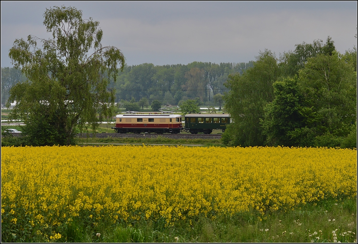 TEE am See. Die Re 4/4 I 10034 im Rot/Creme-Gewand und historischen SBB-Wagen im Tägermoos. Mai 2014.