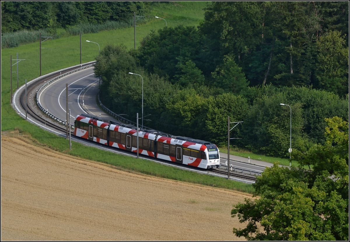 Triebwagen der Frauenfeld-Wil-Bahn ABe 4/8 zwischen Murkart und Lüdem. Juli 2014.