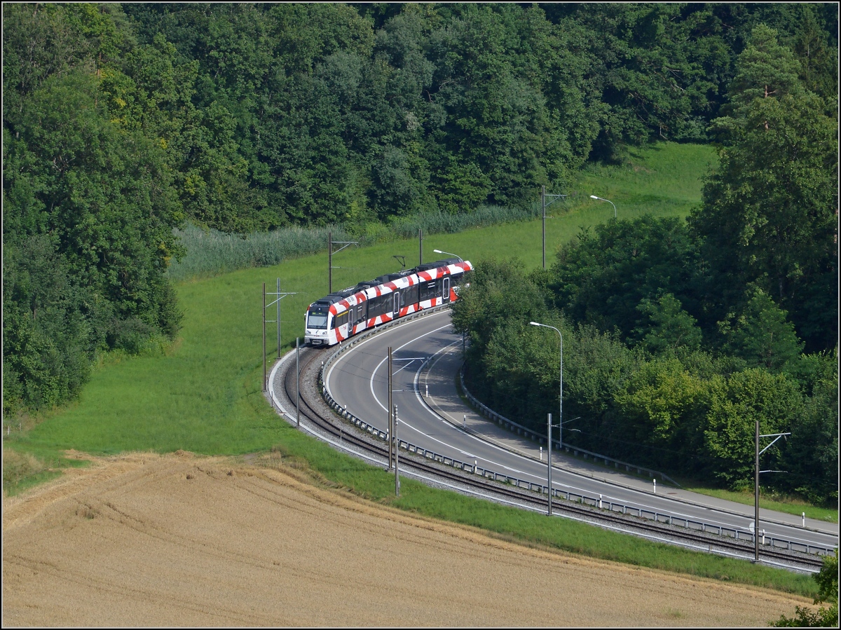 Triebwagen der Frauenfeld-Wil-Bahn ABe 4/8 zwischen Murkart und Ldem. Juli 2014.