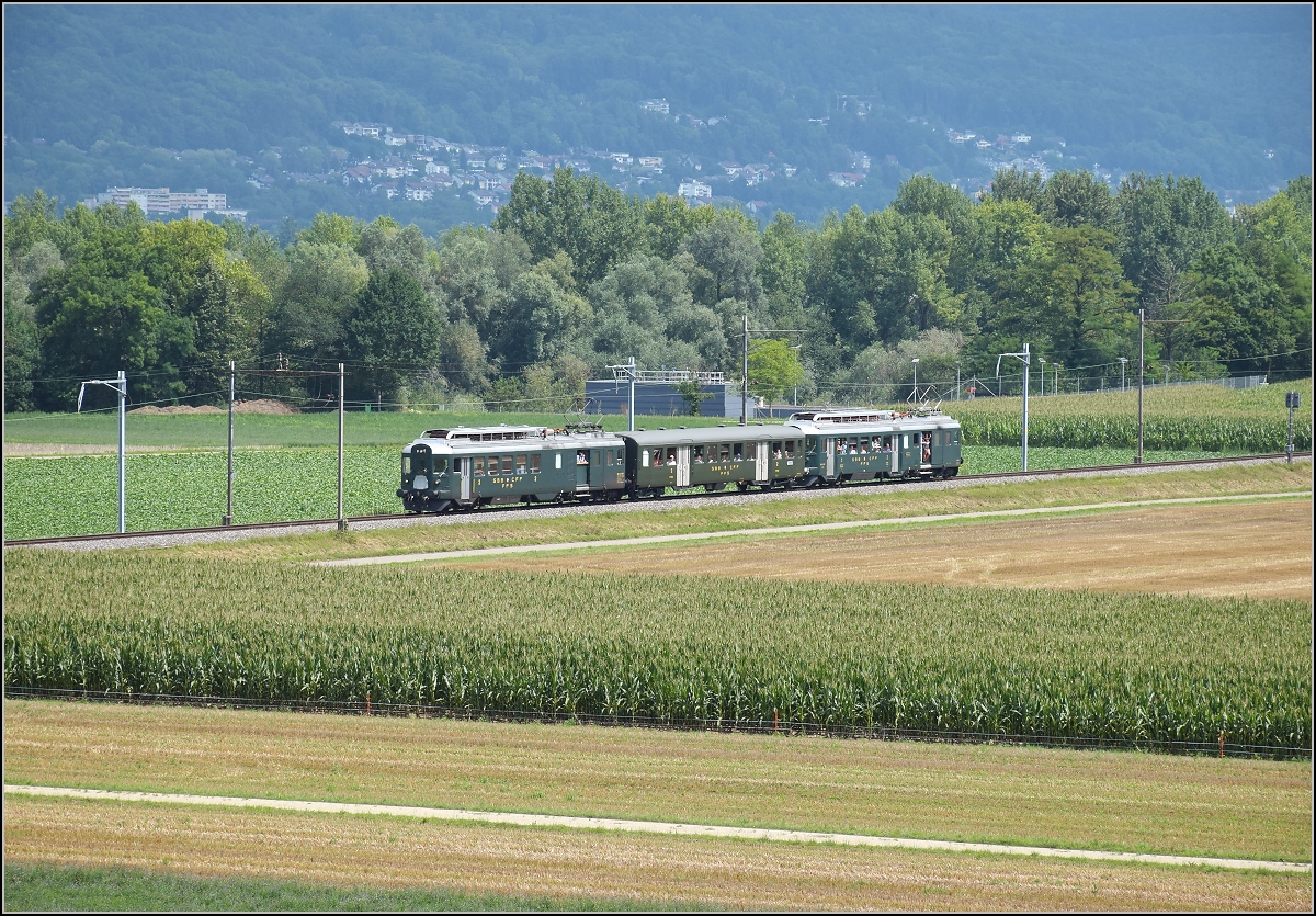 Triebwagentreffen Koblenz, August 2017. Der SBB-Triebwagen BDe 4/4 1643  Wyländerli  bilder mit BDe 4/4 1646 ein kräftiges Sandwich aus BDe 4/4, hier bei Leibstadt.