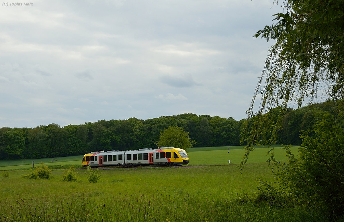 TSB (HLB) Lint vor Schneidhain am 15.05.2016