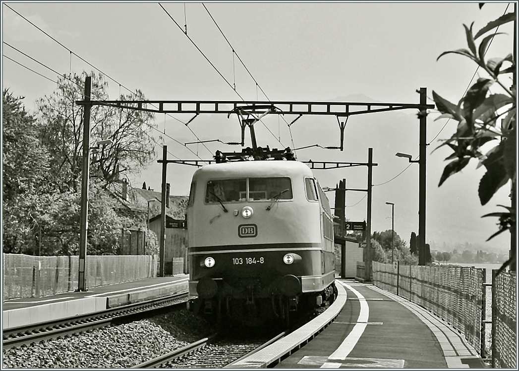 Überraschnd tauchte am 26. April 2011 die DB 103 184-8 in St-Saphorin auf.
Trotzt ungünstigstem Standpunkt wagte ich ein Bild. 
