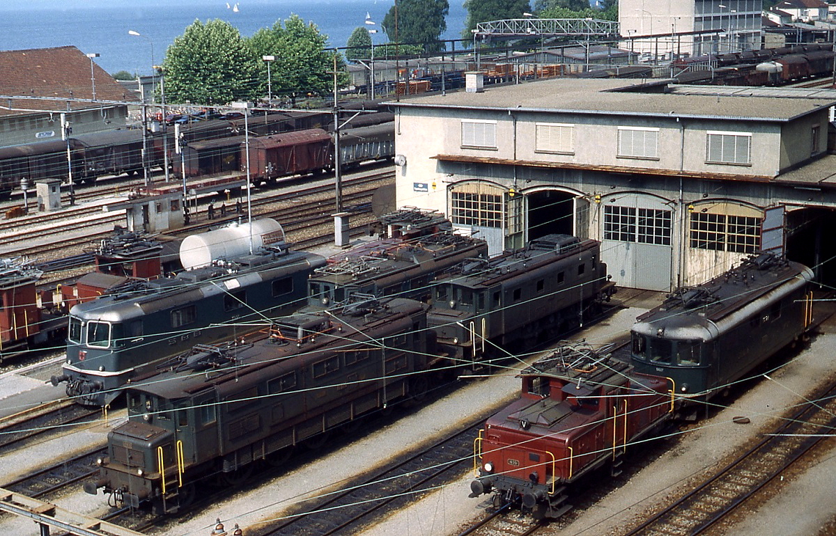 Um 1980 haben sich insgesamt sechs Lokomotiven fünf verschiedener Baureihen sowie mehrere Rangiertraktoren vor dem Lokschuppen in Rohrschach versammelt, von links nach rechts eine Re 4/4 II, eine Ae 3/6 I, eine Ae 4/7 und eine weitere Ae 3/6 I, eine Ee 3/3 sowie eine Re 4/4 I