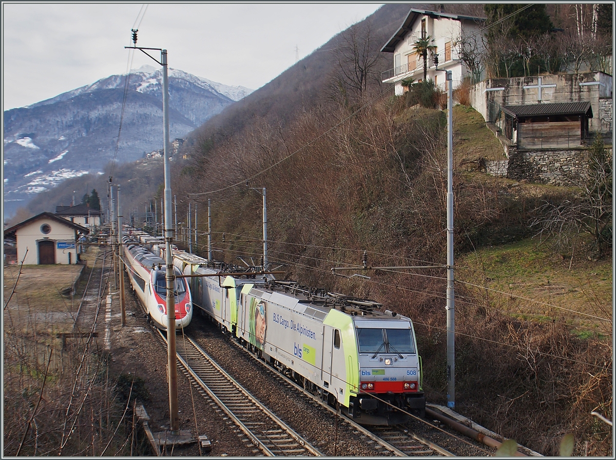 Um Sekunden verfehlt die Begegnung des ETR 610 und des BLS Re 486 bei Preglia. Ich habe mich dann aber für das Bildmotive BLS Re 486 entschieden, auch wenn dabei der ETR 610 unvorteilhaft vom Fahrleitungsmast  geteilt  wrid.
27. Jan 2015