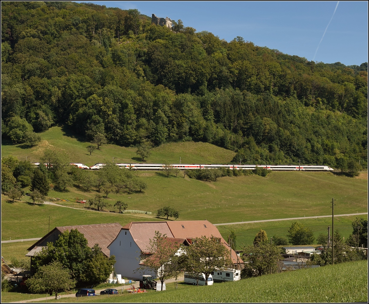 Umleiterverkehr auf dem Läufelfingerli. Ein Doppelpack RABe 503 in der Juralandschaft, hier die nachfolgende Garnitur im Blick. Katzbach, August 2018.