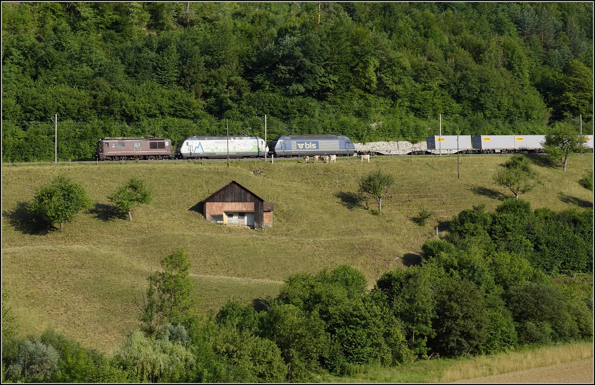 Umleiterverkehr auf dem Läufelfingerli. Re 425 172, Re 465 008  Berggemeinden  und Re 465 010 führen einen längeren Güterzug richtung Basel. Rümlingen, Juli 2018.
