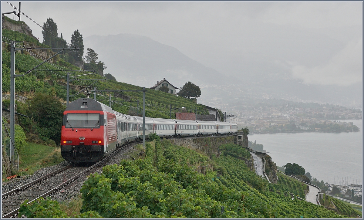 Umleitungsverkehr via die  Train des Vignes  Strecke infolge Restaurierung des Bertholod Tunnels: Die SBB RABe 460 ist mit ihren IR 30913 auf dem Weg nach St-Maurice und konnte oberhalb von St-Saphorin auf Train des Vignes Strecke fotografiert werden.

29. August 2020