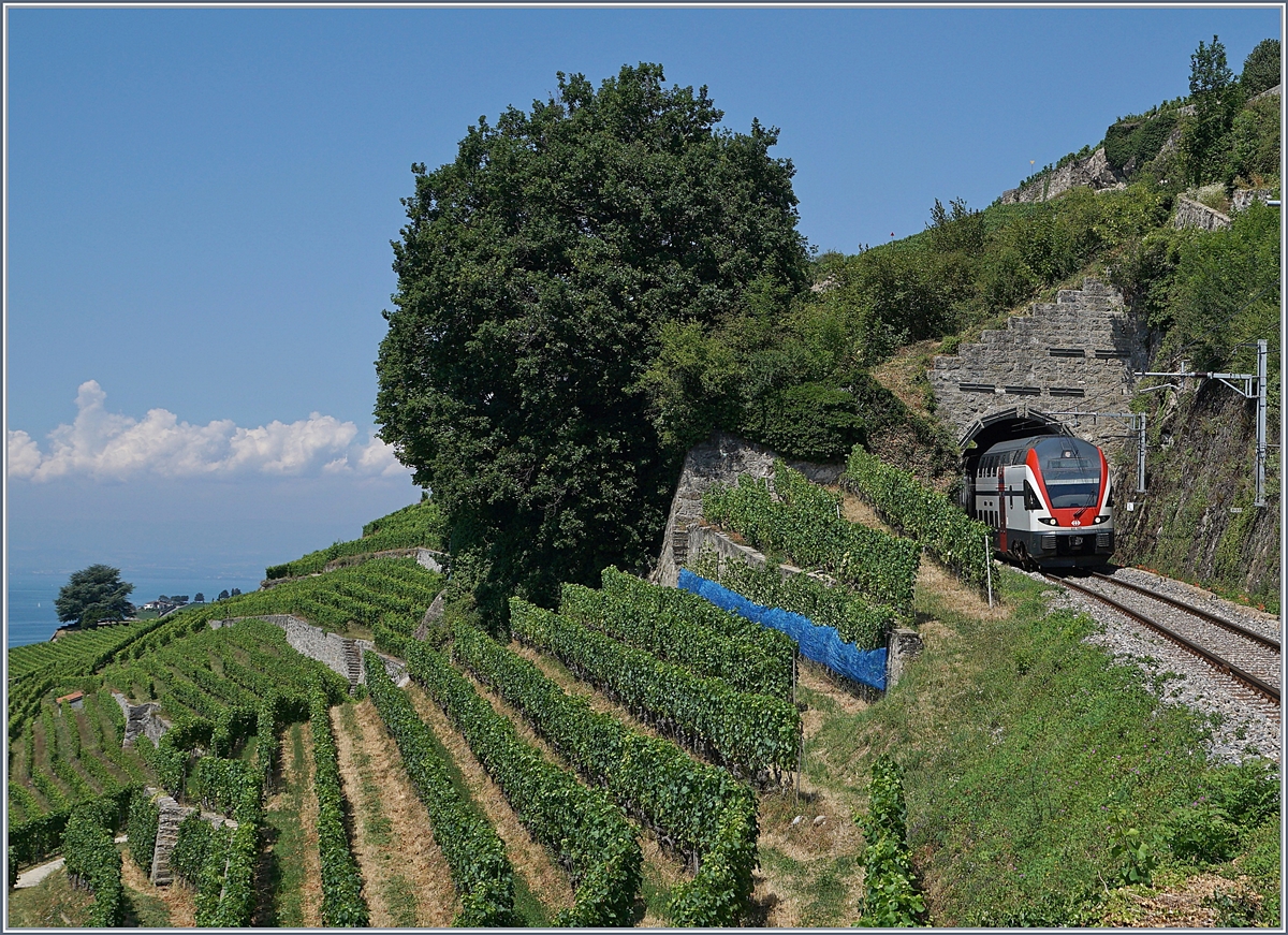 Unter dem Titel  Sommerfahrplan  wurde dem Publikum einschneidende Betriebsbeschränkungen schmackhaft gemacht, eine davon betraf die komplette Streckenerneuerung Puidoux - Lausanne auf der wichtigen Hauptstrecke Lausanne - Bern, so dass ein Ersatzkonzept mit Züge via  Train de Vignes  Strecke angeboten wurde. Die Züge Genève - Vevey - Fribourg wurden von KISS RABE 511 gefahren. 

Ein SBB RABe 511 beim 20 Meter kurzen Salanfe Tunnel zwischen Chexbres und Vevey auf der Fahrt nach Genève.

19. Juli 2018