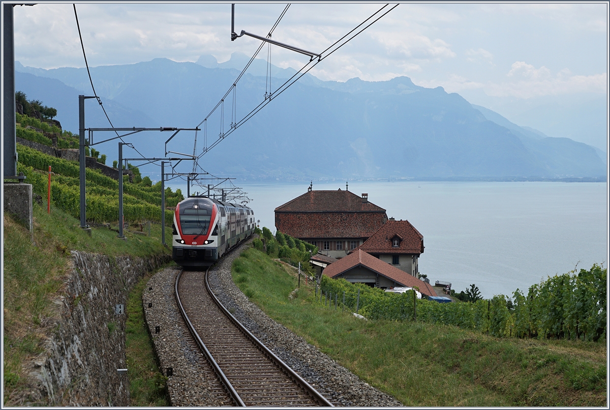Unter dem Titel  Sommerfahrplan  wurde dem Publikum einschneidende Betriebsbeschränkungen schmackhaft gemacht, eine davon betraf die komplette Streckenerneuerung Puidoux - Lausanne auf der wichtigen Hauptstrecke Lausanne - Bern, so dass ein Ersatzkonzept mit Züge via  Train de Vignes  Strecke angeboten wurde. Die Züge Genève - Vevey - Fribourg wurden von KISS RABE 511 gefahren. 

Ein SBB RABe 511 kurz vor Chexbres Village auf der Fahrt nach Fribourg. 

10. Juli 2018