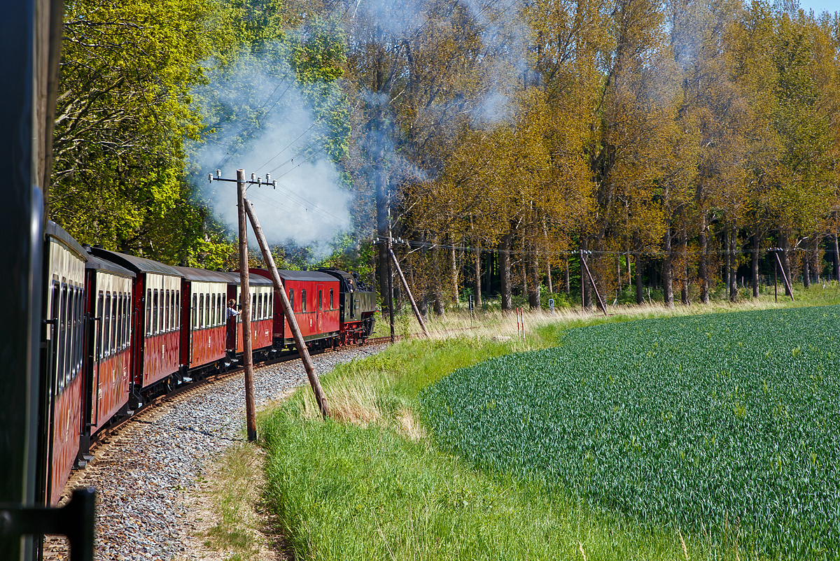 Unterwegs mit dem „Molli“.....
Die 99 2322-8 der Mecklenburgischen Bderbahn Molli zieht den „Molli“ (MBB Dampfzug) am 15.05.2022 von Khlungsborn in Richtung Heiligendamm.

Die 900 mm-Schmalspur-Dampflok der DR-Baureihe 99.32 wurde1932 von O&K (Orenstein & Koppel, Berlin) unter der Fabriknummer 12401 gebaut und an die DRG - Deutsche Reichsbahn-Gesellschaft als 99 322, fr die Bderbahn Bad Doberan–Khlungsborn, geliefert.

