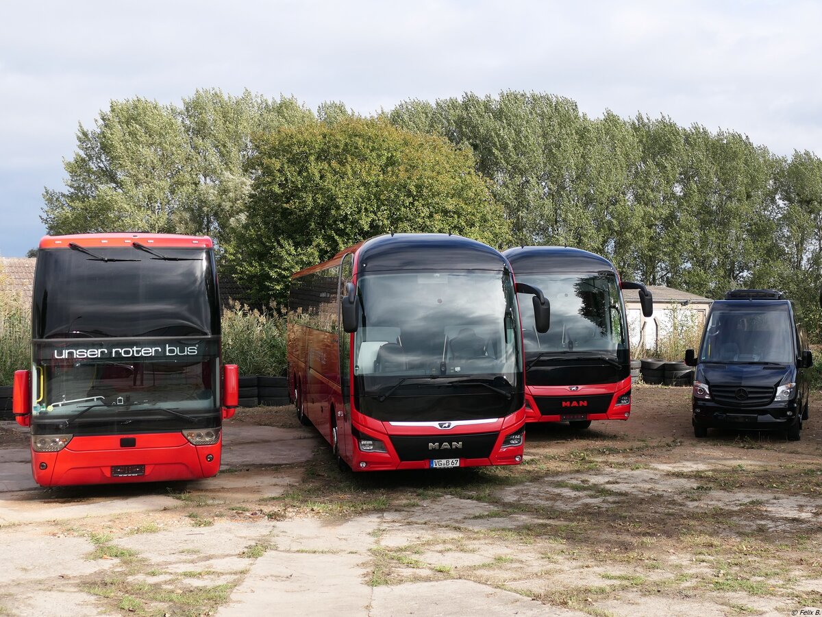 Van Hool TX17 und MAN Lion's Coach und Mercedes Sprinter von URB aus Deutschland in Ueckermünde.