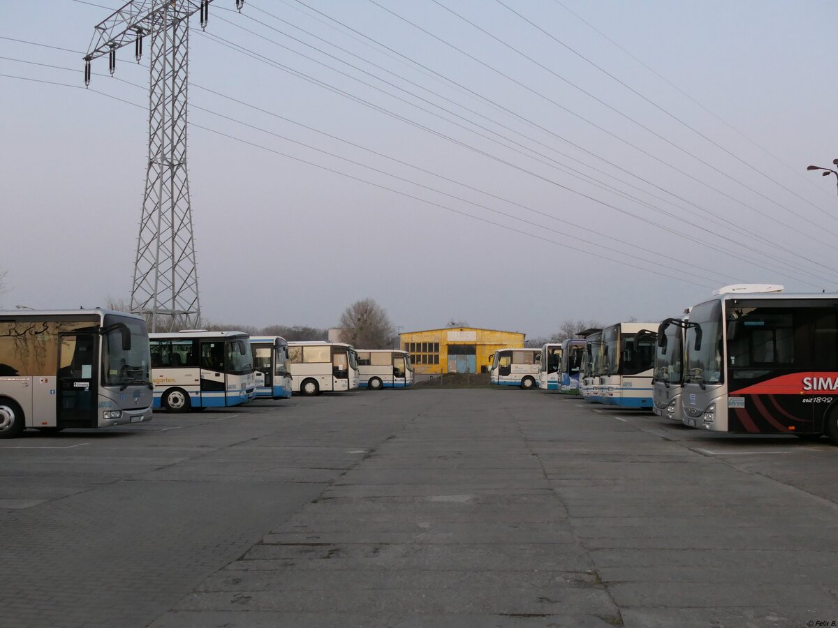 Verschiedene Busse der MVVG in Neubrandenburg.