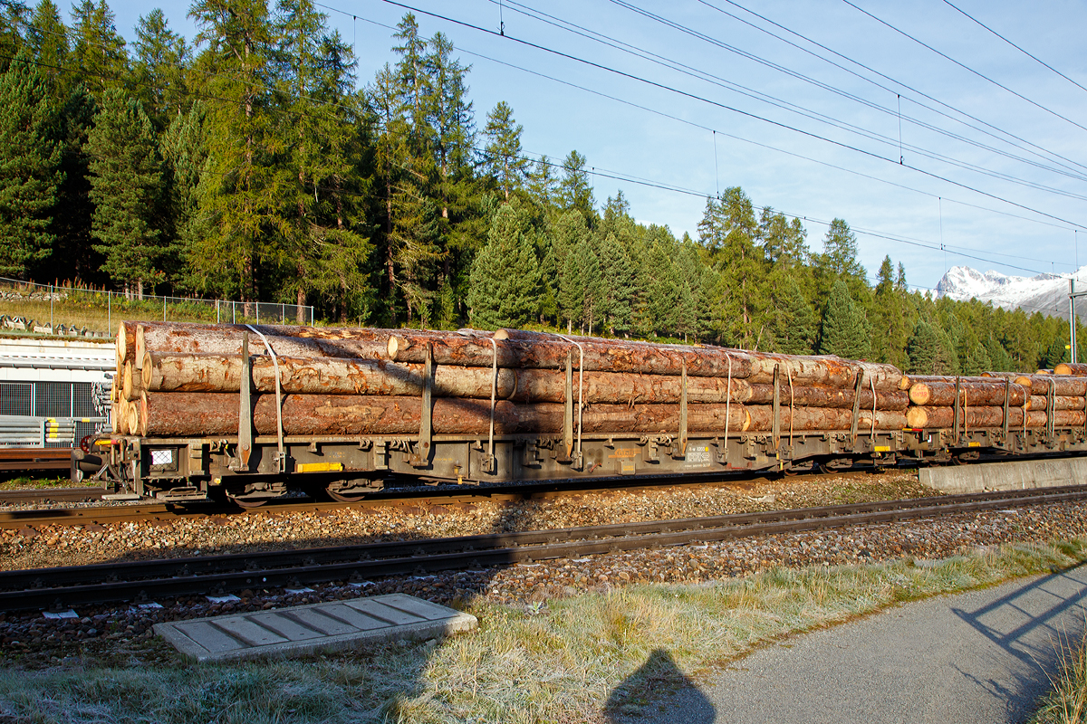 Vierachsiger RhB Kombi-Flachwagen mit Klapprungen, fr den Transport von ACTS-Container wie auch fr Rundholz-Transporte, R-w 8203, abgestellt am 14.09.2017 in Pontresina.

Zur Deckung des steigenden Bedarfs an ACTS-Tragwagen beschaffte die RhB 1990/1991 die R-w 8202-8218. Um sie neben fr Container auch universell fr den Holztransport nutzen zu knnen, rstete man sie zustzlich mit Drehrungen und Spanngurtsystemen aus.

Spezifikationen ACTS-Bahnwagen Typ R-w
Typenbezeichnung:  R-w
Wagennummern:  8202 – 8218
Spurweite: 1.000 mm
Lnge ber Puffer: 16.540 mm 
Ladelnge: 14.900 mm
Ladebreite:  2.540 mm
Drehzapfenabstand: 11.000 mm 
Achsabstand im Drehgestell: 1.400 mm
Eigengewicht: 18.470 kg
Ladegewicht:  33 Tonnen
Hhe ab Schienenoberkante: 955 mm
