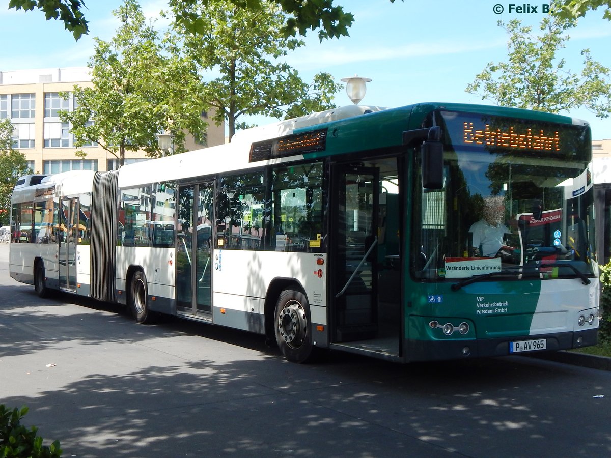 Volvo 7700 vom Verkehrsbetrieb Potsdam in Potsdam.