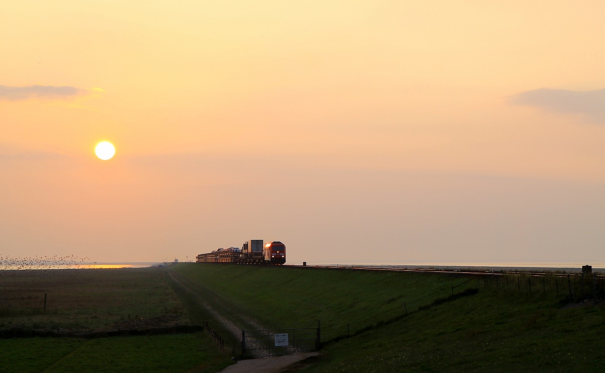 Von der Insel auf das Festland...eine DB Sylt Shuttle auf dem Weg nach Niebüll. 23.09.2017