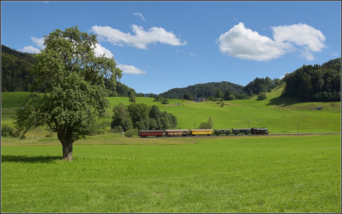 Vorbeifahrt der Eb 3/5 9 der Bodensee-Toggenburg-Bahn mit ihrem wunderbaren Personenzug an Hofschür. Juli 2020. Die obligatorische Fotowolke war gnädig und warf sich rechtzeitig auf die Seite... Dafür gab es dann giftgrünes Gras...