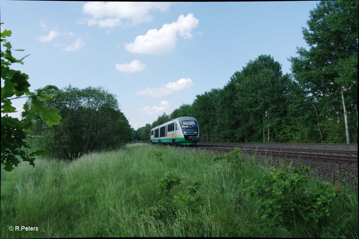 VT13 als OPB74273 Marktredwitz - Regensburg bei Schönfeld. 12.06.15