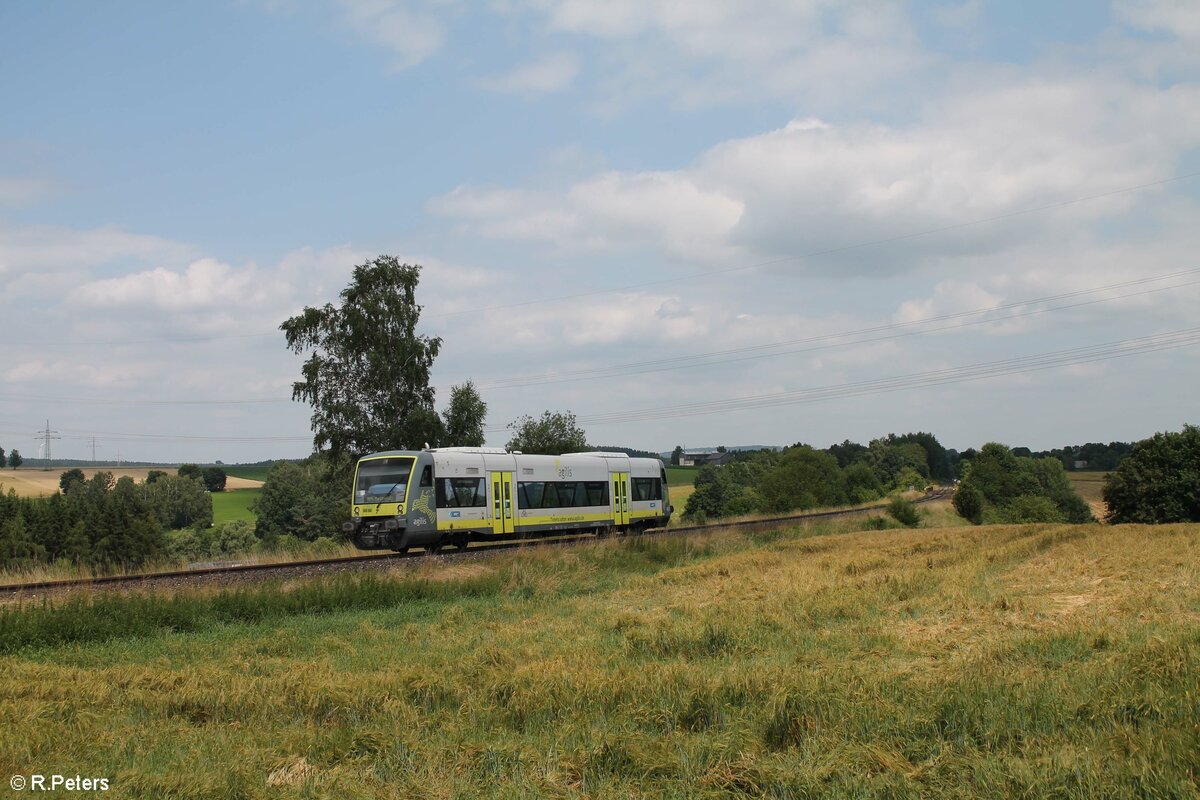 VT650 732 als RB95 20877 Hof - As - Cheb - Marktredwitz beim Röslau Viadukt Seußen. 22.07.21