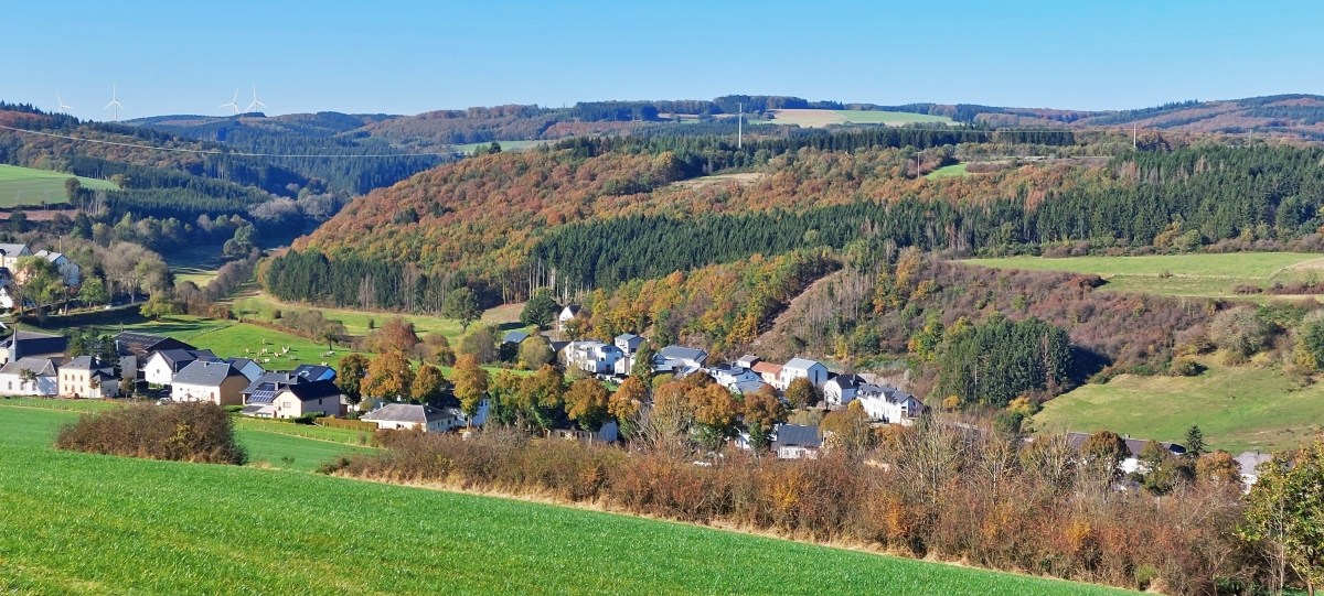 Während eines Spazierganges habe ich dieses Foto von den Herbstfarben nahe dem Ort Erpeldange / Wiltz aufgenommen. Okt. 2021