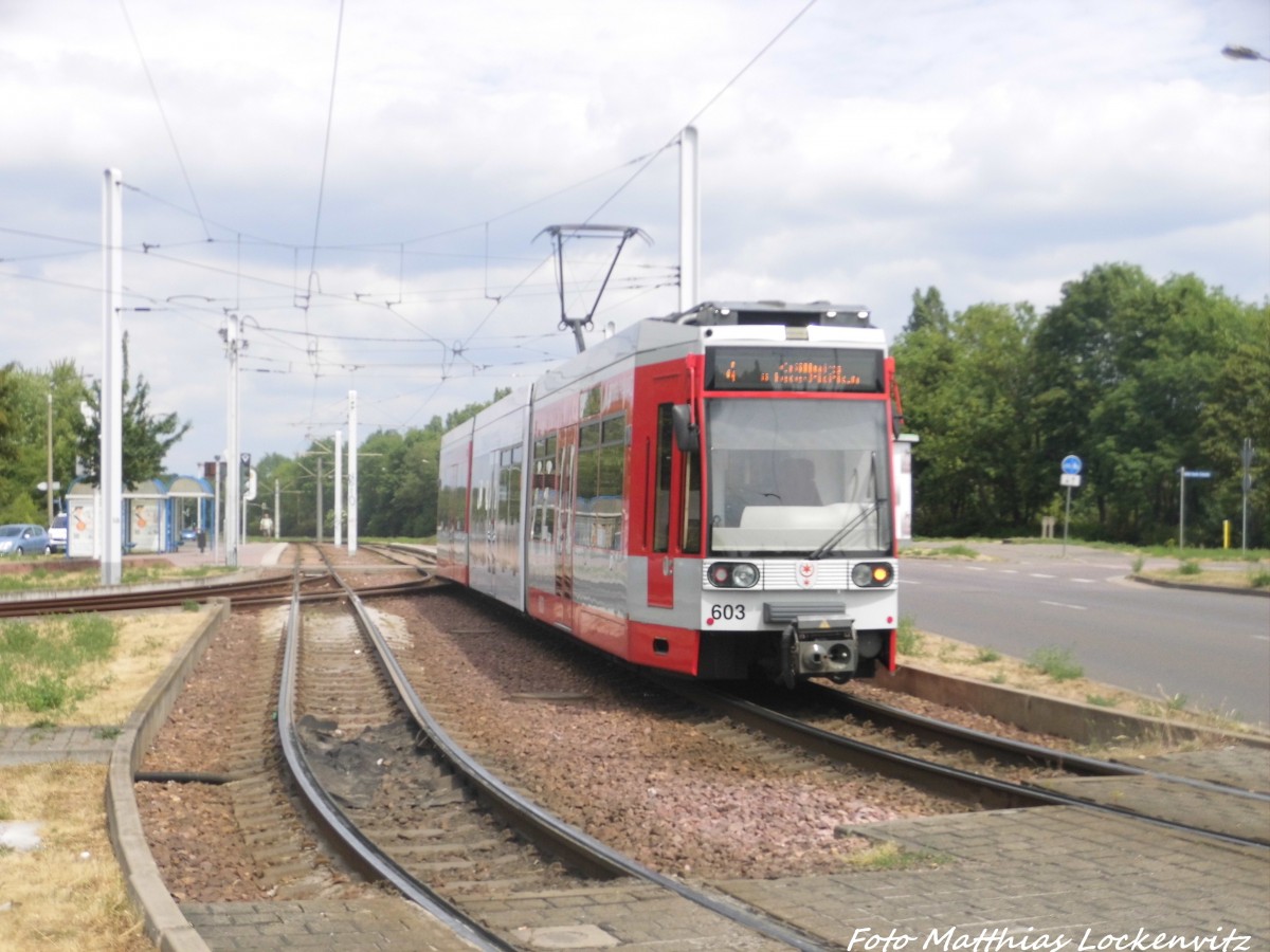 Wagen 603 mit ziel Krllwitz am Rennbahnkreuz am 10.6.15