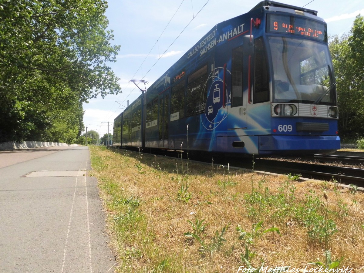 Wagen 609 der HAVAG unterwegs zum Gttinger Bogen am 14.6.15