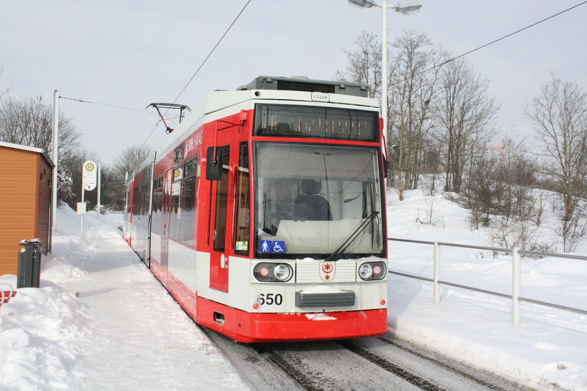 Wagen 650 an der Endhaltestelle Soltauer Strae am 10.2.21