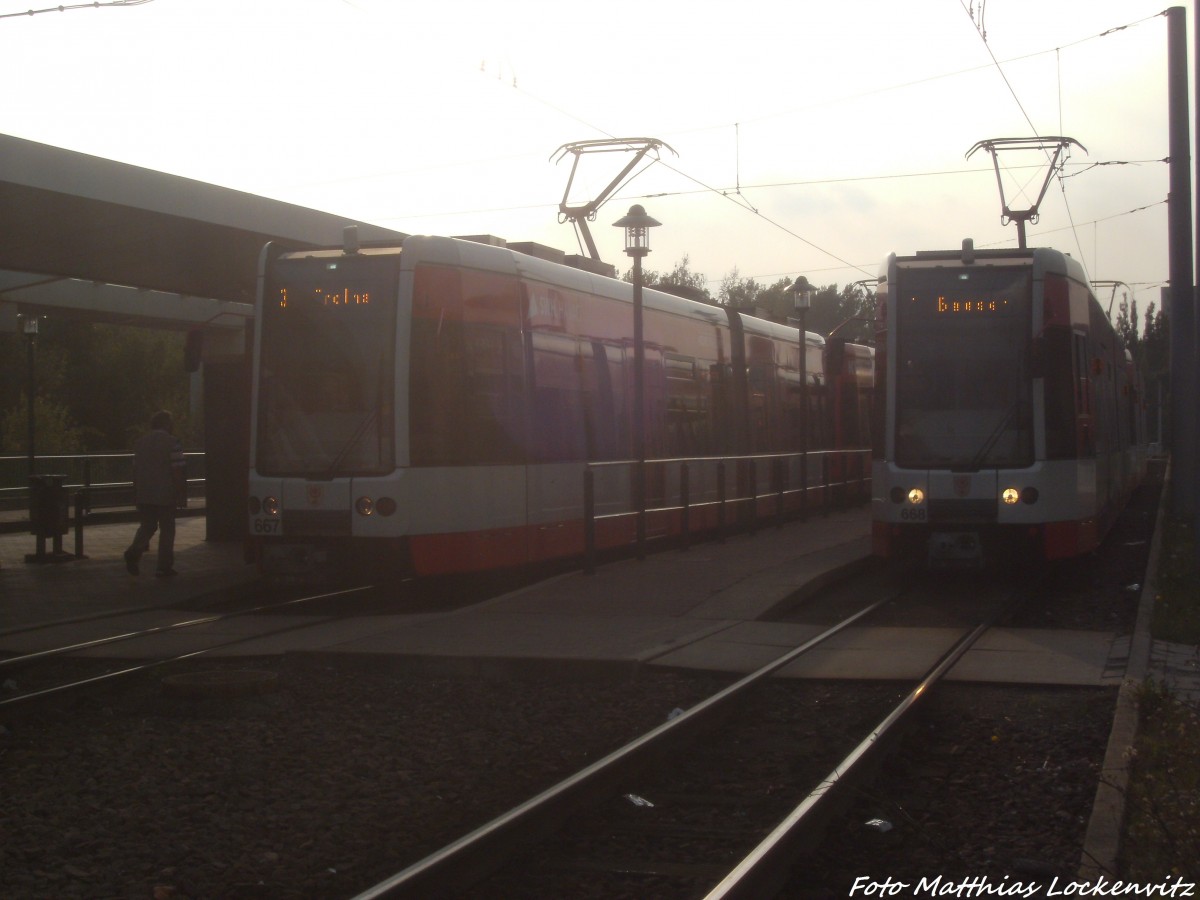 Wagen 667 + 668 der HAVAG in der Haltestelle Halle, Sdstadt am 8.9.14