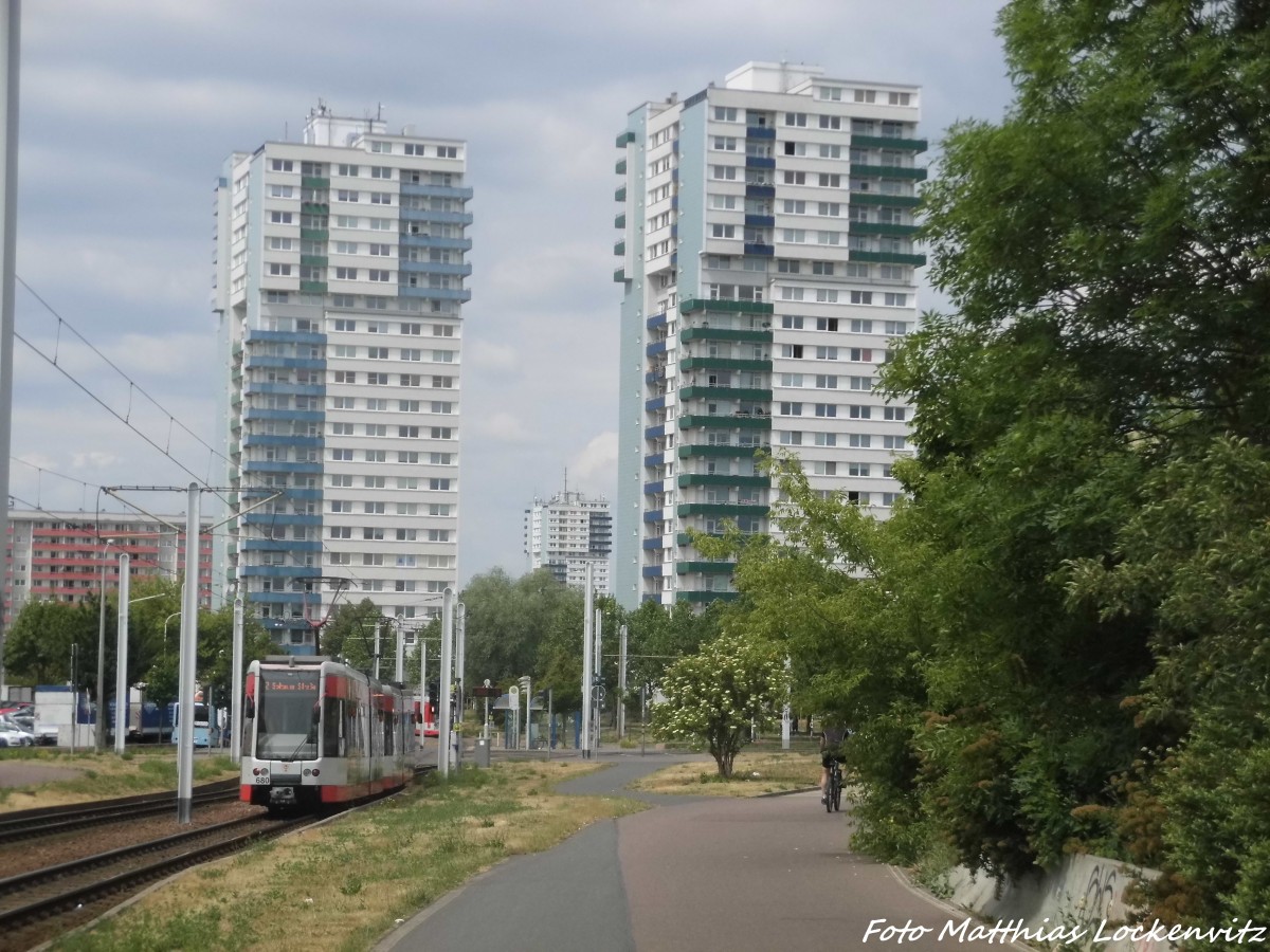 Wagen 680 + 679 der HAVAG unterwegs zur Soltauer Strae am 10.6.15