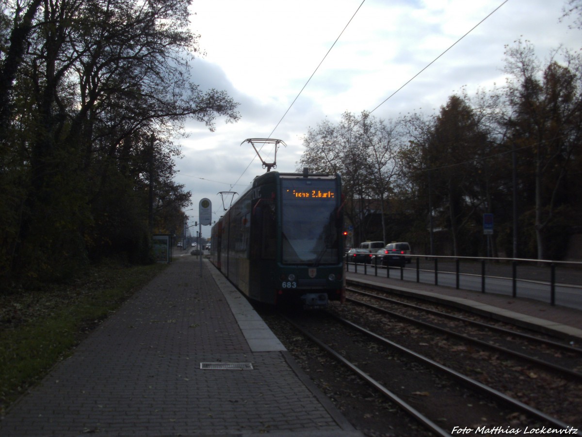 Wagen 683 der HAVAG unterwegs nach Frohe Zukunft am 21.11.14