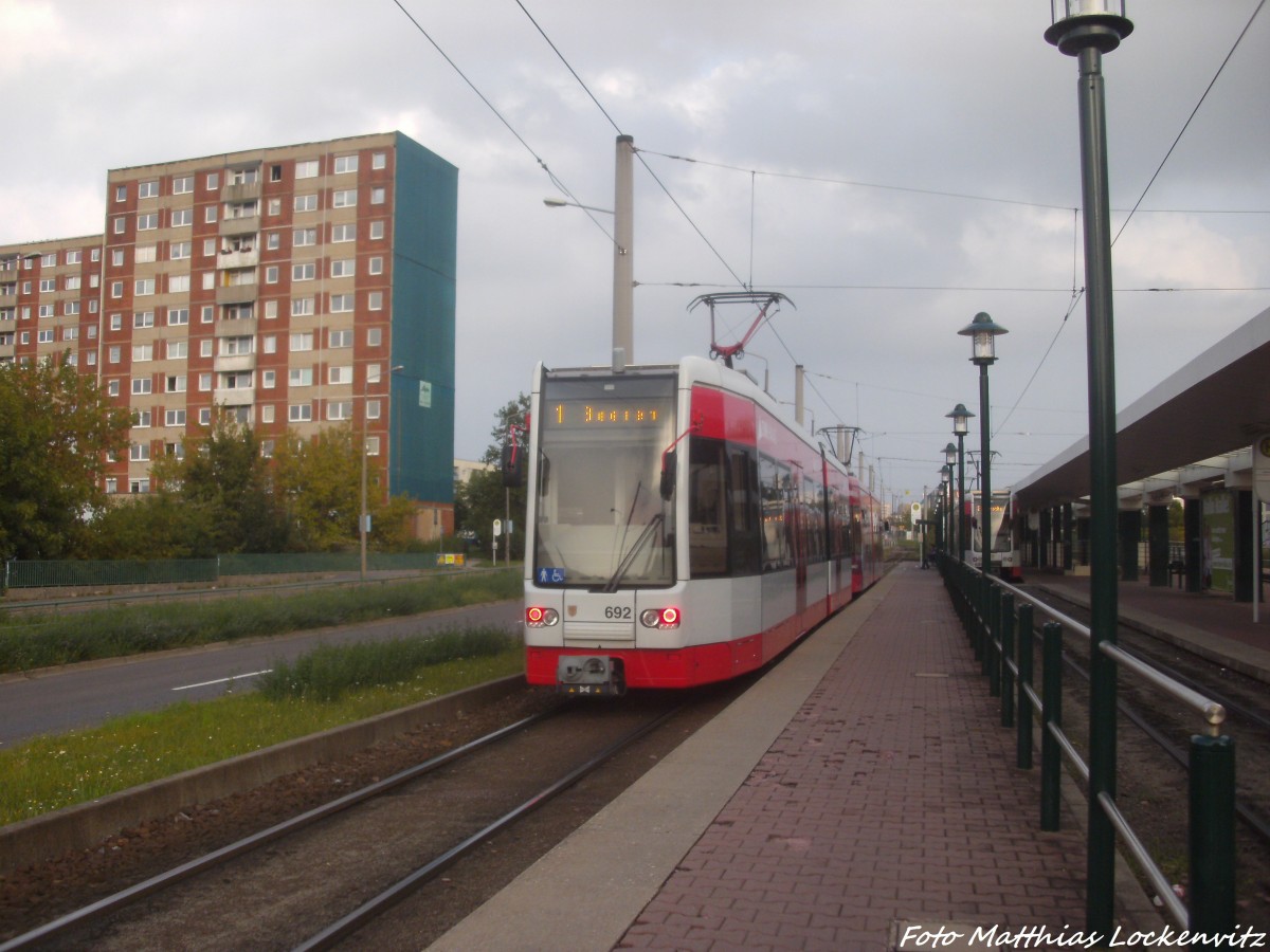 Wagen 692 der HAVAG in der Haltstelle Halle, Sdstadt am 8.9.14