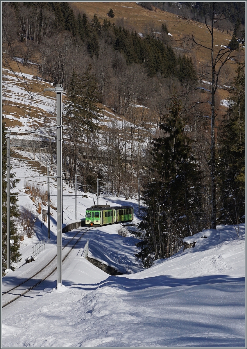 Weiterhin pendelt der ASD BDe 4/4 403 mit seinem Bt 431 zwischen Le Sépey und Les Diablerets im Inselverkehr hin und her, hier ist der Zug kurz nach Vers l'Eglise auf dem Weg nach Les Diablerets. Interessanter Weise liegt  unten  noch Schnee, während die Sonne oben an den Bergen diesen schon weggeschmolzen hat. 

25. Januar 2022