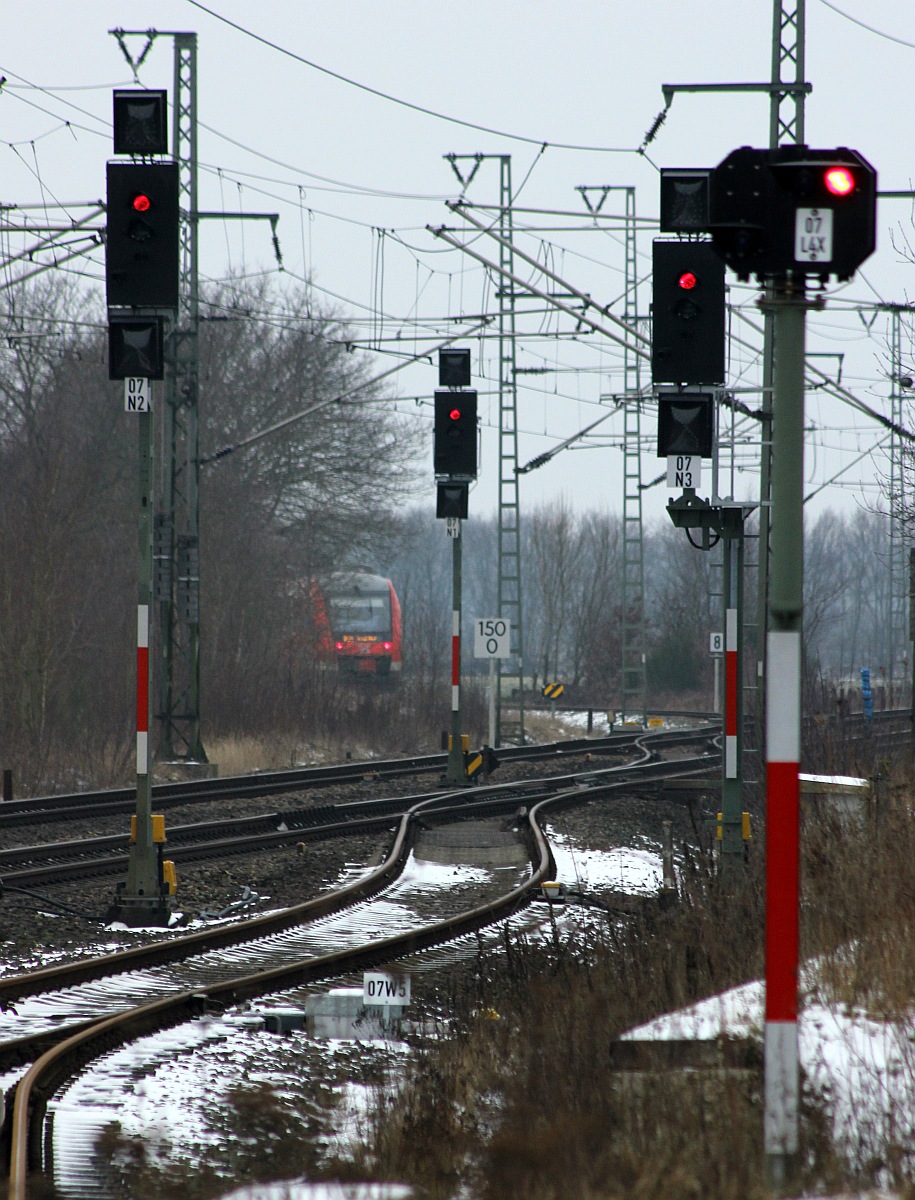 Wer versteckt sich da? Jübek 12.02.2017