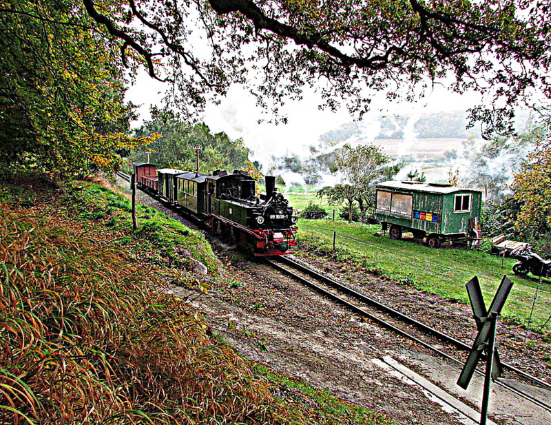 Wie in Öl gemalt.
99 1608-1 auf Bergfahrt kurz vor Seelvitz am 12.Okt.2013
