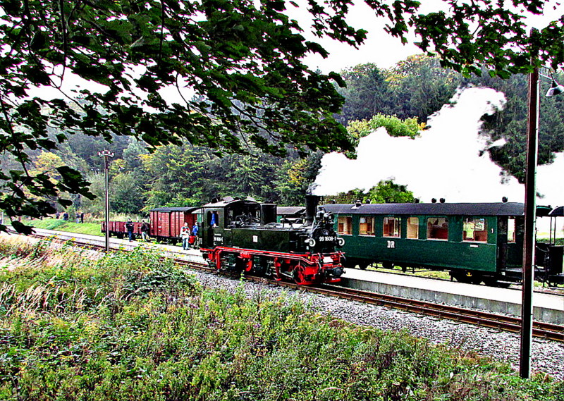 Wie in Öl gemalt.
99 1608-1 umfährt ihren Zug in Garftitz am 12.Okt.2013